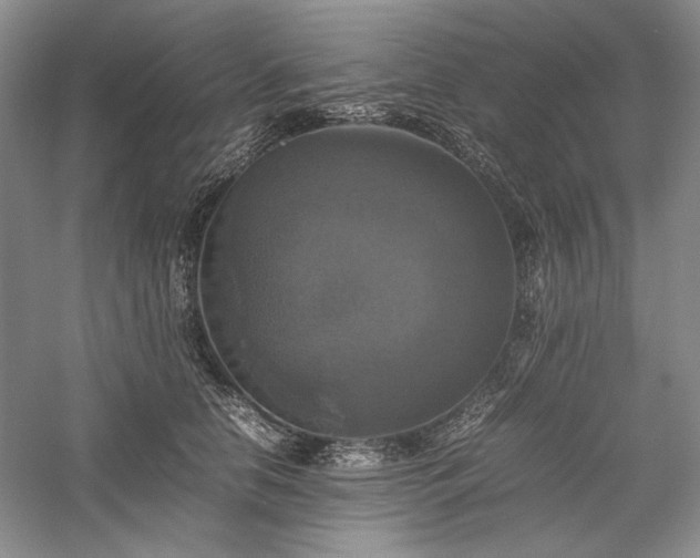 X0000059780658200510211052
