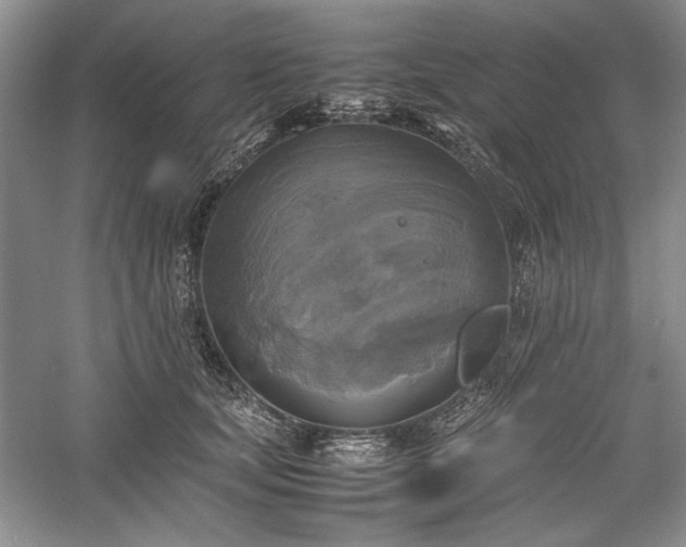 X0000059780659200510211052