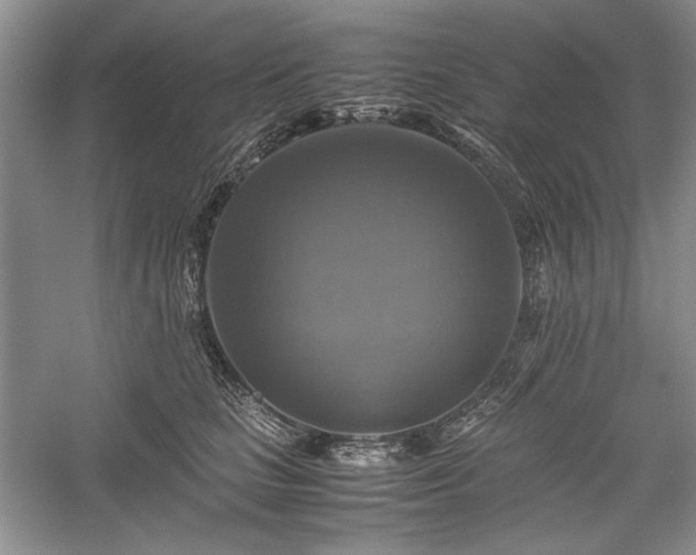 X0000059780661200510211052