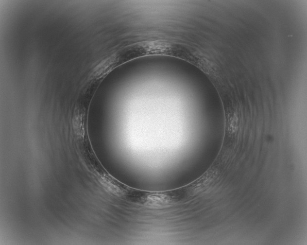 X0000059780666200510211052
