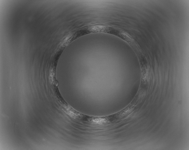 X0000059780669200510211052