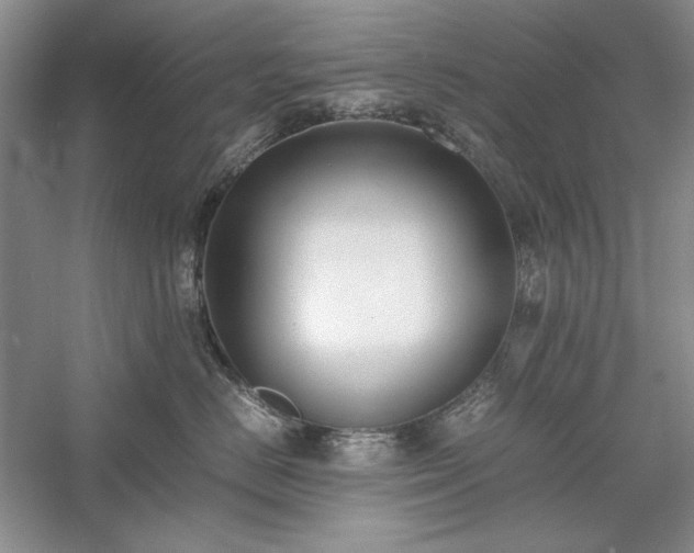 X0000059780670200510211052