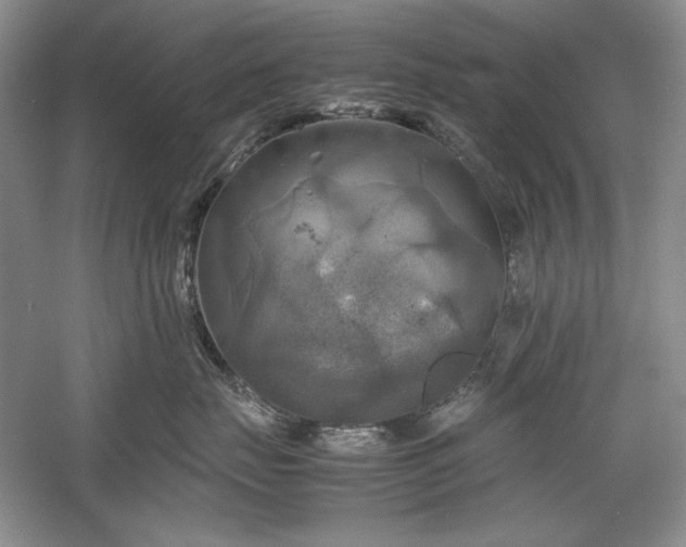 X0000059780671200510211052
