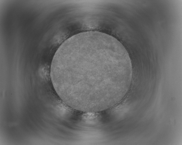 X0000059780672200510211052