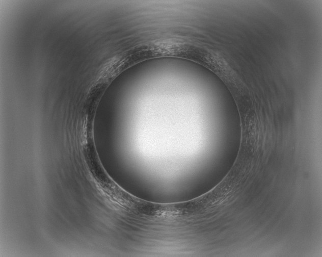 X0000059780694200510211051