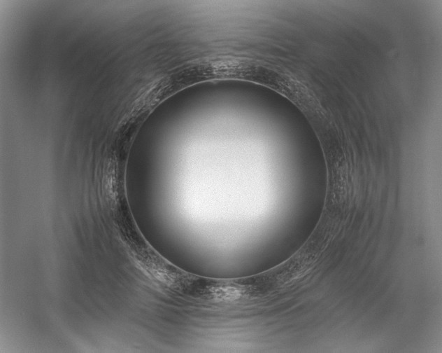 X0000059780698200510211051