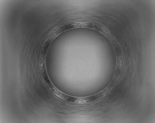 X0000059780701200510211051