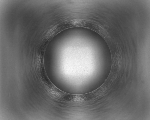 X0000059780702200510211051