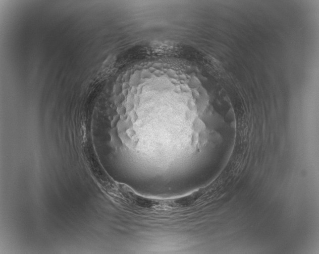 X0000059780703200510211051