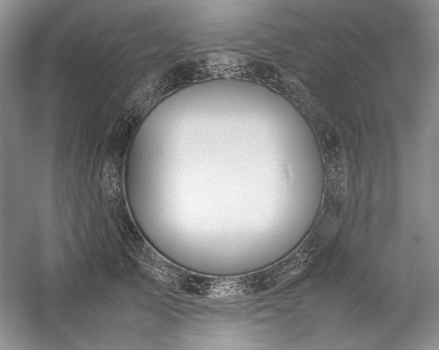 X0000059780705200510211051
