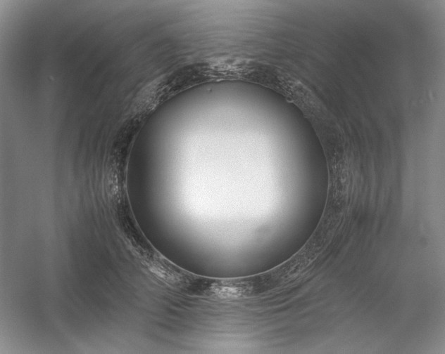X0000059780706200510211051