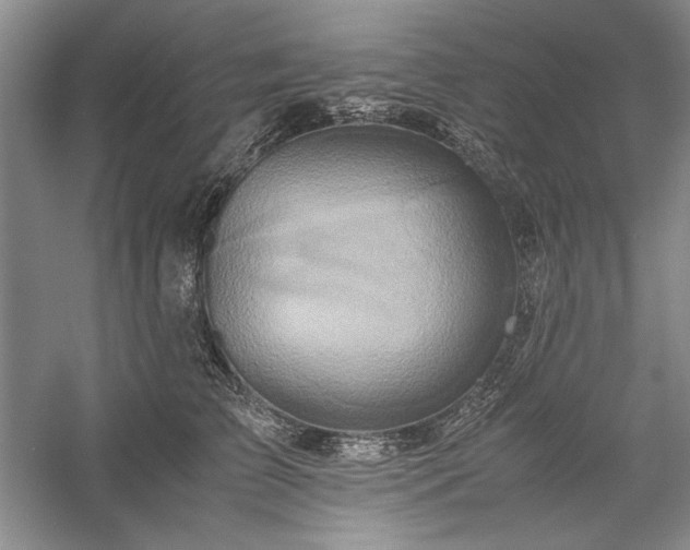 X0000059780709200510211051