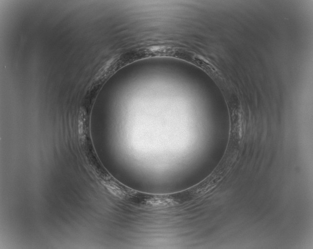 X0000059780712200510211051