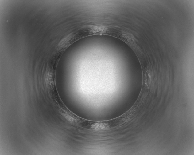 X0000059780714200510211051