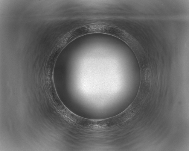 X0000059780737200510211050