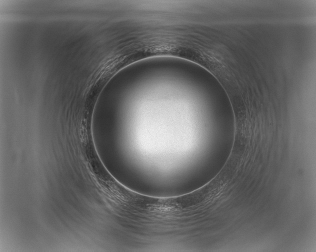 X0000059780743200510211050