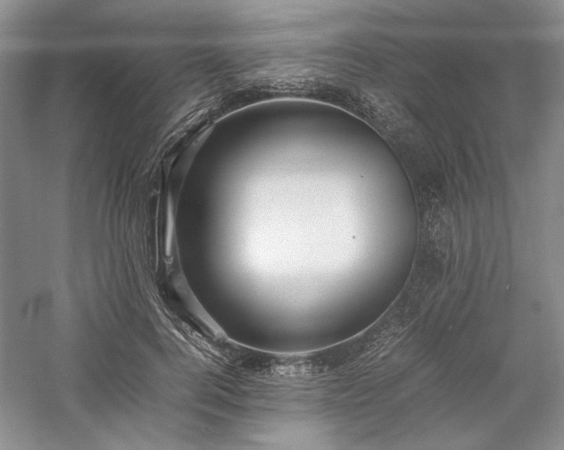 X0000059780744200510211050