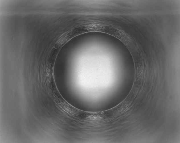 X0000059780749200510211050