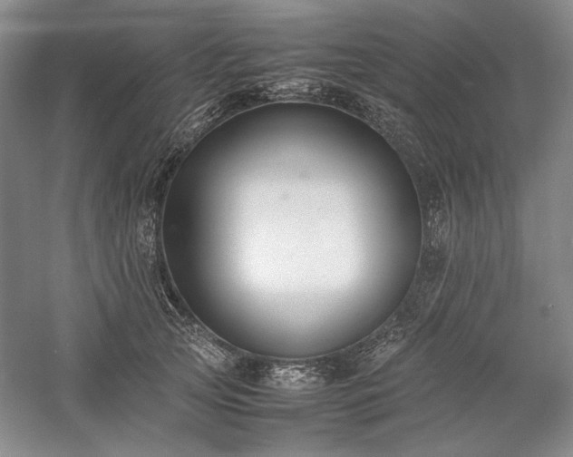 X0000059780753200510211050