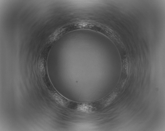 X0000059780754200510211050