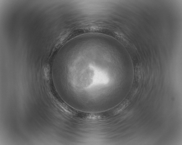 X0000059780760200510211050