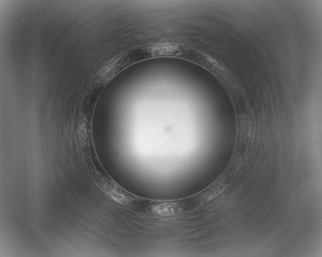 X0000059780761200510211051