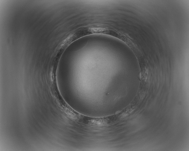 X0000059780763200510211051