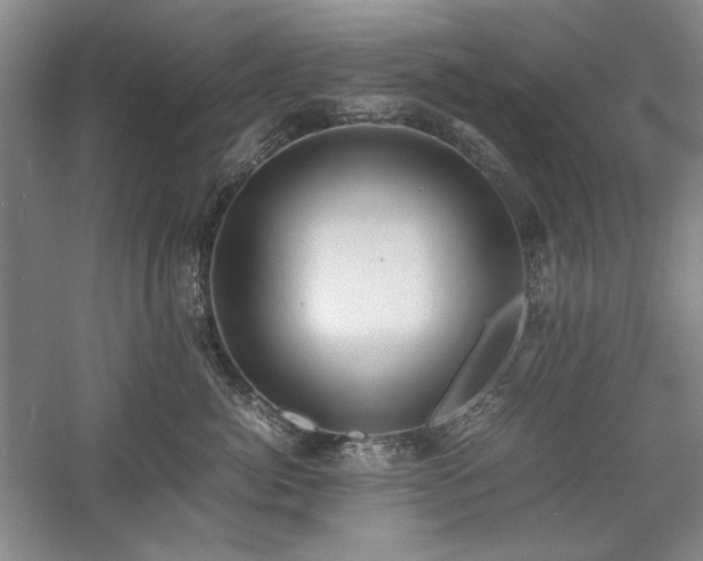 X0000059780764200510211051