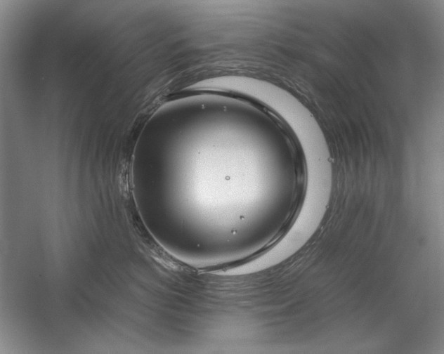 X0000059780766200510211051