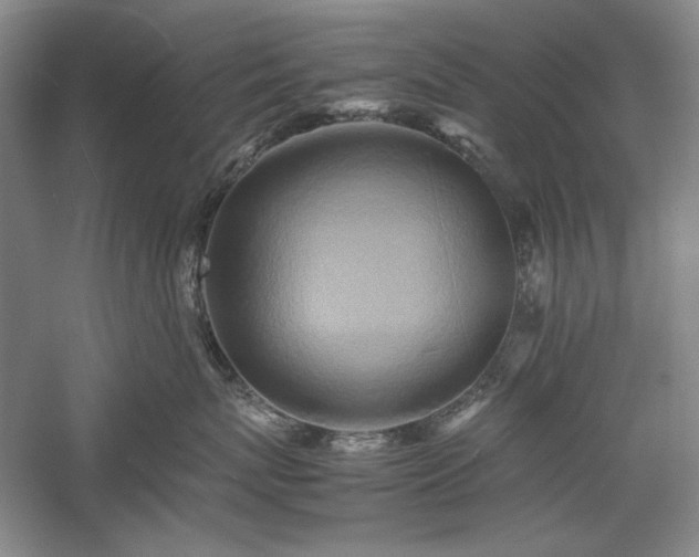 X0000059780767200510211051