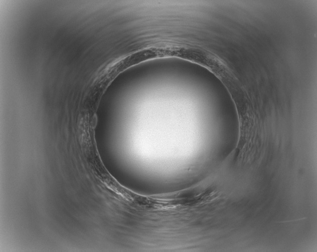 X0000059780773200510211050