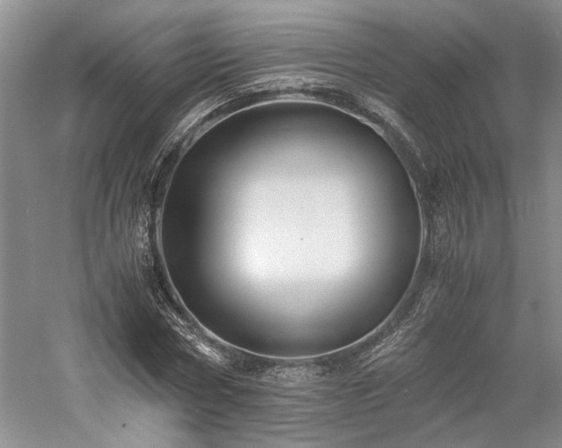 X0000059780778200510211050