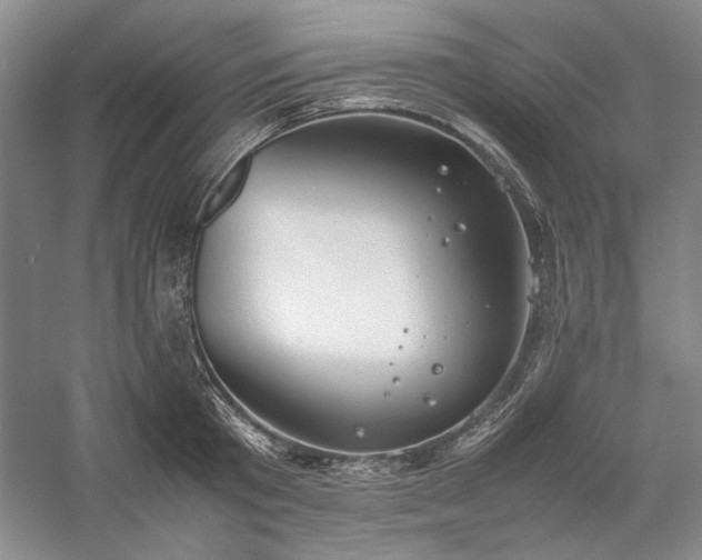X0000059780801200510211049