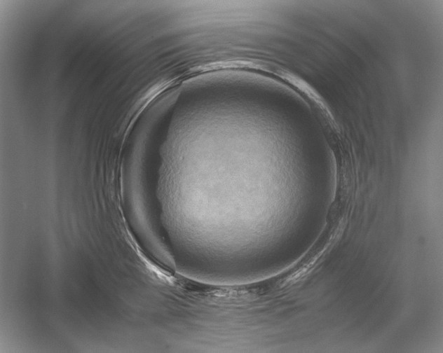 X0000059780809200510211049