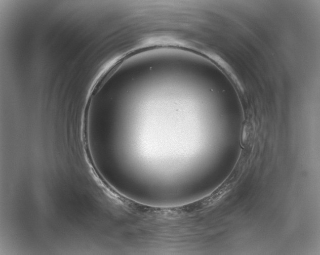 X0000059780815200510211049