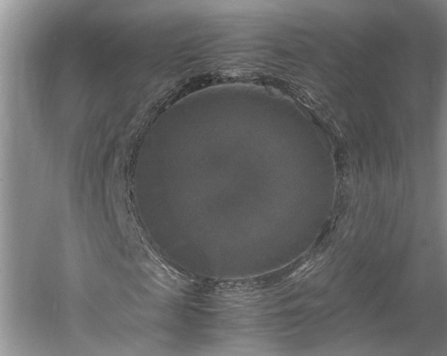 X0000059780817200510211048