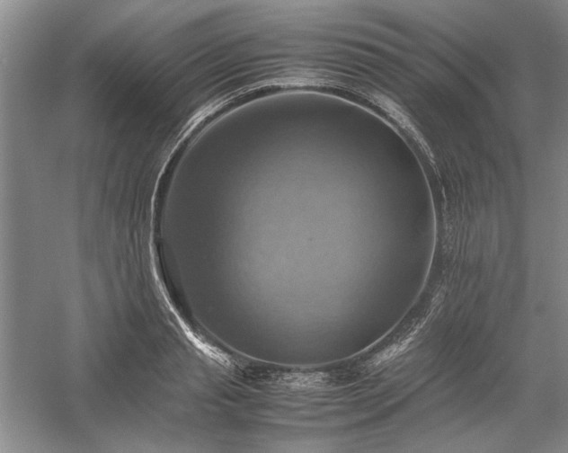 X0000059780845200510211049
