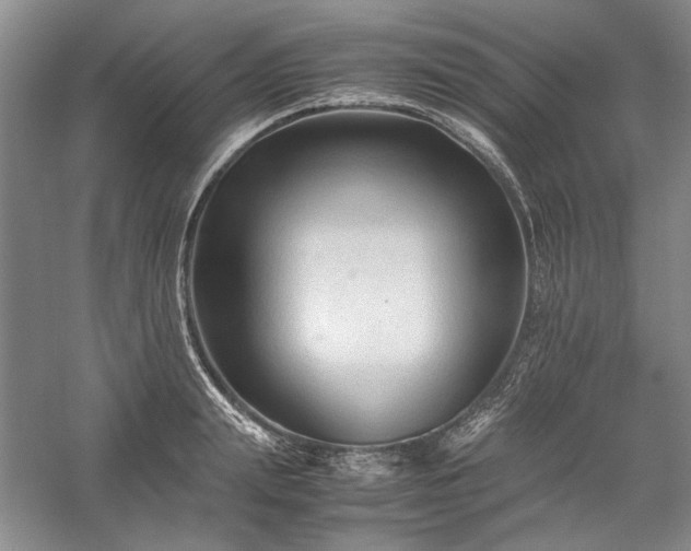 X0000059780847200510211049