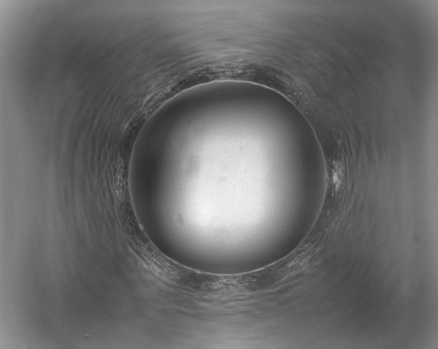 X0000059780867200510211048
