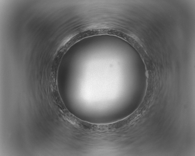 X0000059780871200510211048