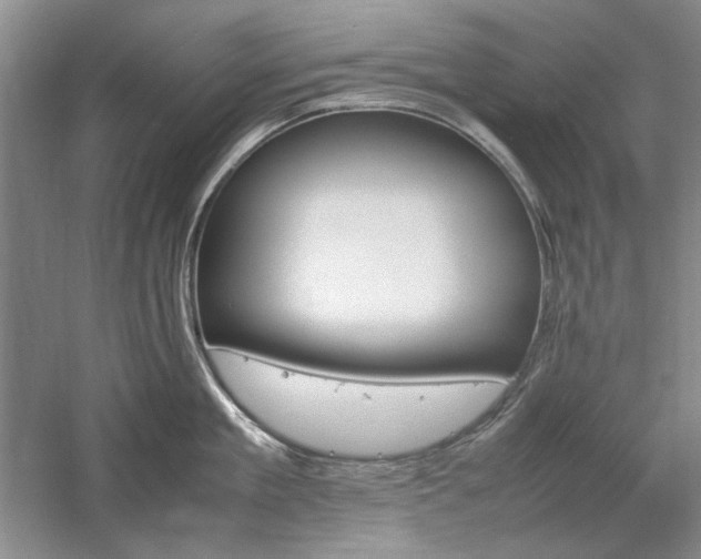 X0000059780909200510211047