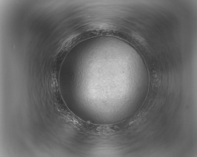 X0000059780918200510211047