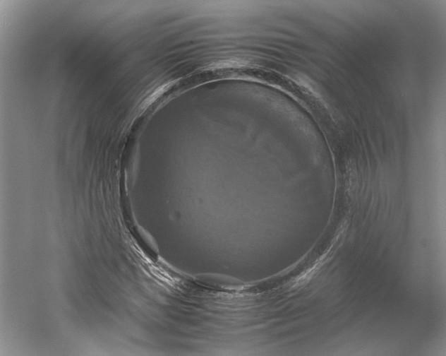 X0000059780921200510211047