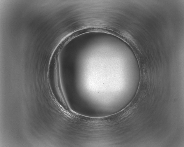 X0000059780924200510211047