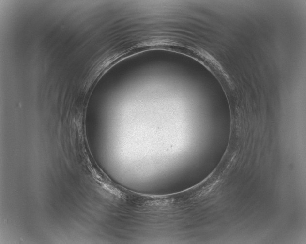 X0000059780937200510211047