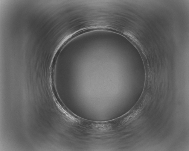 X0000059780941200510211047