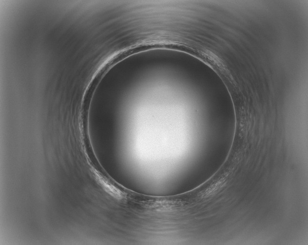 X0000059780942200510211047