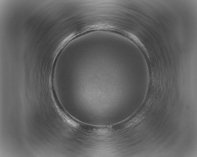 X0000059780946200510211047