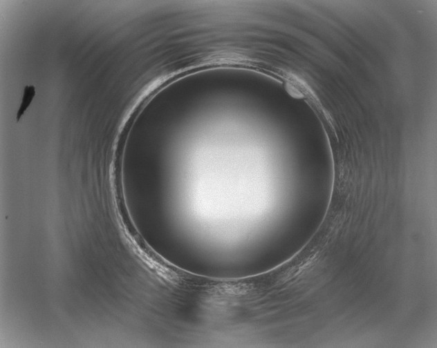 X0000059780947200510211047