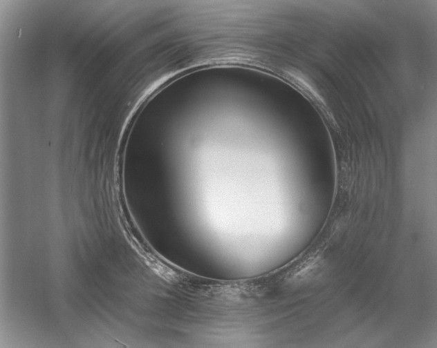 X0000059780948200510211047